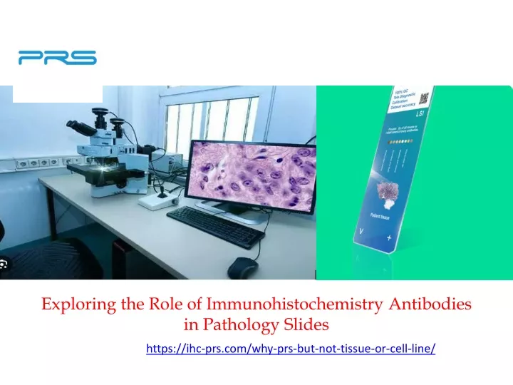 exploring the role of immunohistochemistry