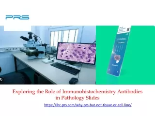 Exploring the Role of Immunohistochemistry Antibodies in Pathology Slides