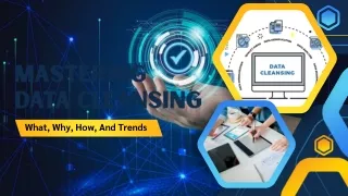 mastering data cleansing