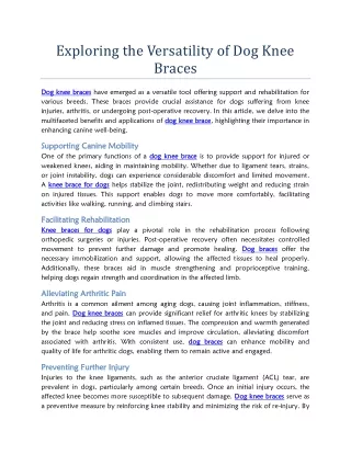 Exploring the Versatility of Dog Knee Braces