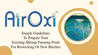 Preparing Your Existing Shrimp Farming Pond for Restocking