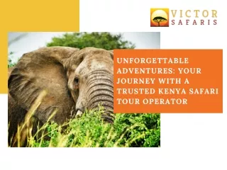 Unforgettable Adventures Your Journey with a Trusted Kenya Safari Tour Operator