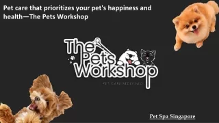 Pet care that prioritizes your pet's happiness and health—The Pets Workshop