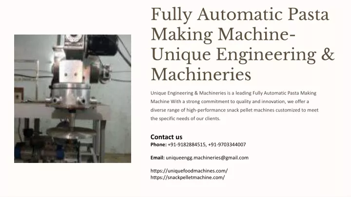 fully automatic pasta making machine unique