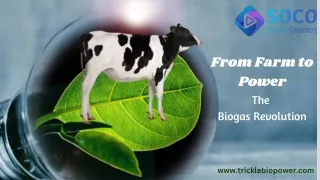 Biogas: The Green Powerhouse in Your Backyard
