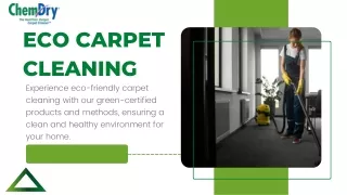 Choose Our Eco Carpet Cleaning Services For A Green And Sustainable Cleaning Sol