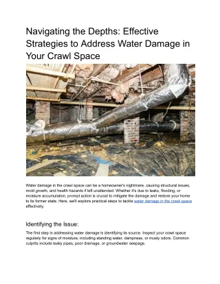 Navigating the Depths_ Effective Strategies to Address Water Damage in Your Crawl Space