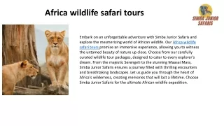 Africa wildlife safari tours