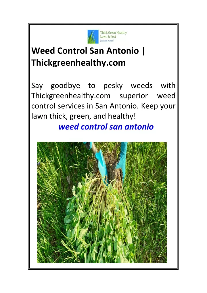 weed control san antonio thickgreenhealthy com