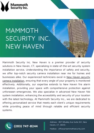 Mammoth Security Inc. New Haven