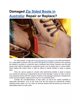 Mar. 25, 2024 - Damaged Zip Sided Boots in Australia Repair or Replace