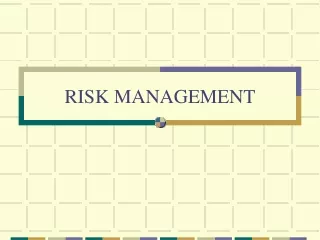 RISK_MANAGEMENT_ppt