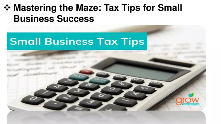 mastering the maze tax tips for small business