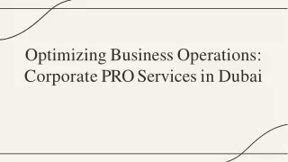 optimizing business operations corporat e pro service s i n dubai