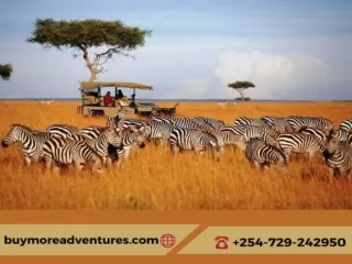 Experiencing the Thrill of the Masai Mara Migration Safari: A Journey of Natural