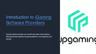 Introduction-to-iGaming-Software-Providers