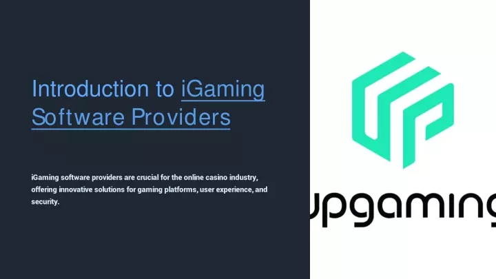 introduction to igaming software providers