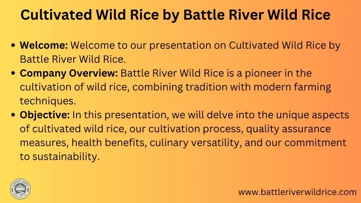 cultivated wild rice by battle river wild rice