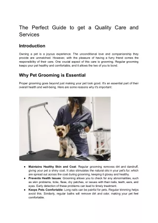 The Perfect Guide to get a Quality  Pet Care and Pet Services