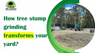 How tree stump grinding transforms your yard Presentation