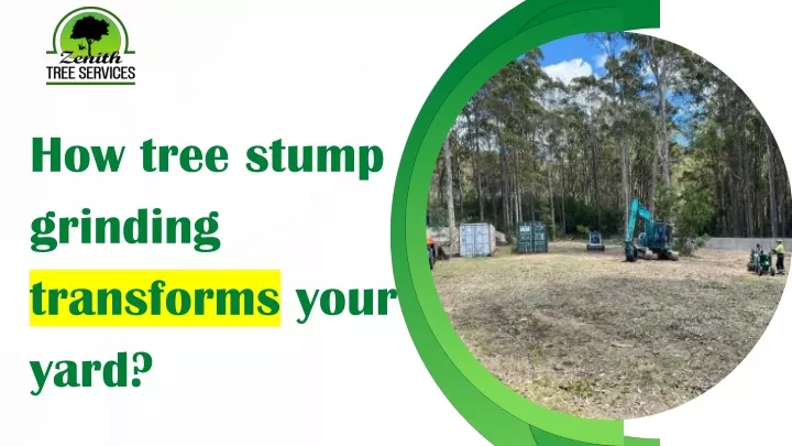 how tree stump grinding transforms your yard