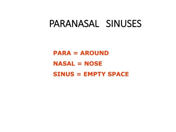paranasal sinuses
