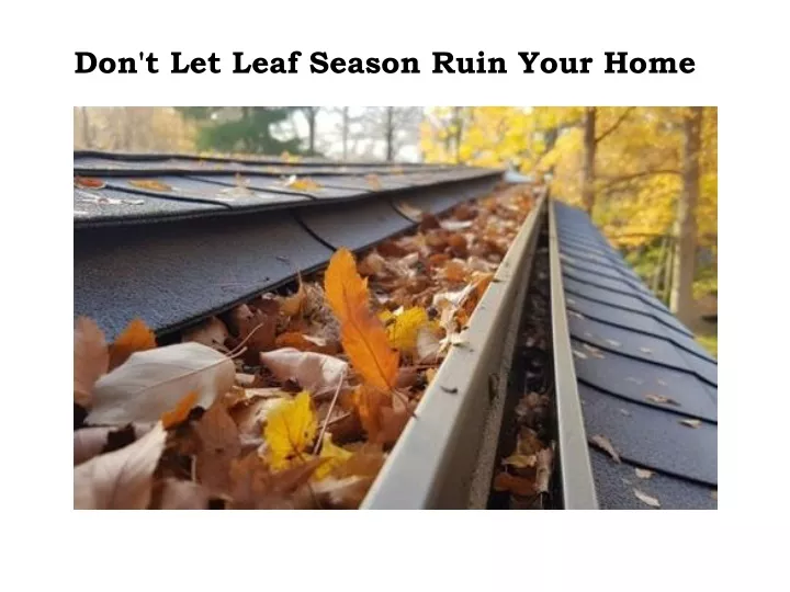 don t let leaf season ruin your home