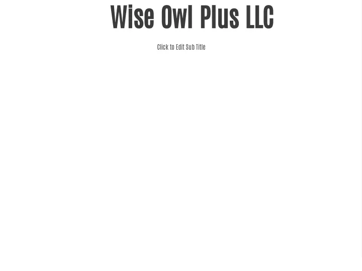 wise owl plus llc