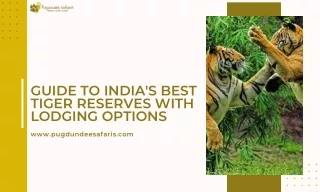 Guide to India's Best Tiger Reserves with Lodging Options