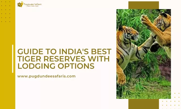 guide to india s best tiger reserves with lodging