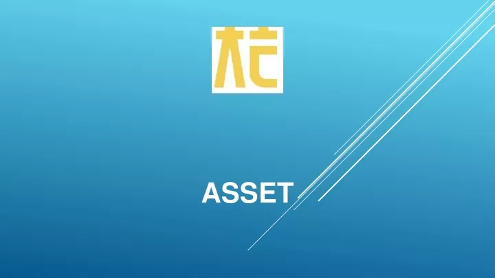 asset