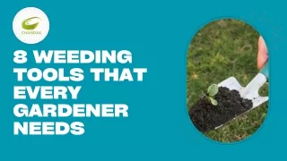 8 Weeding Tools that Every Gardener Needs