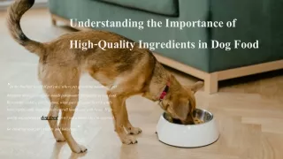 Understanding the Importance of High-Quality Ingredients in Dog Food