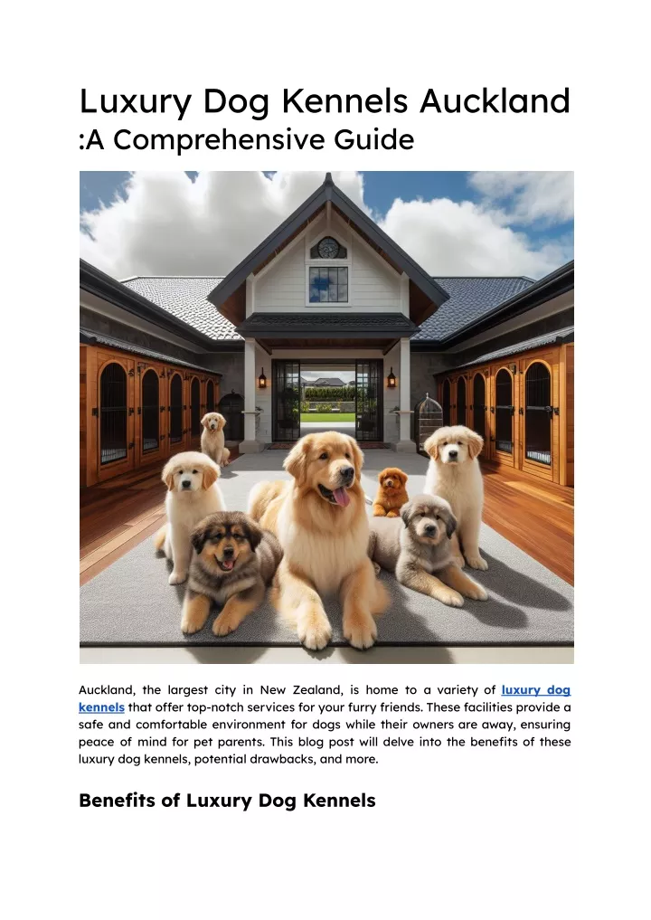 luxury dog kennels auckland a comprehensive guide