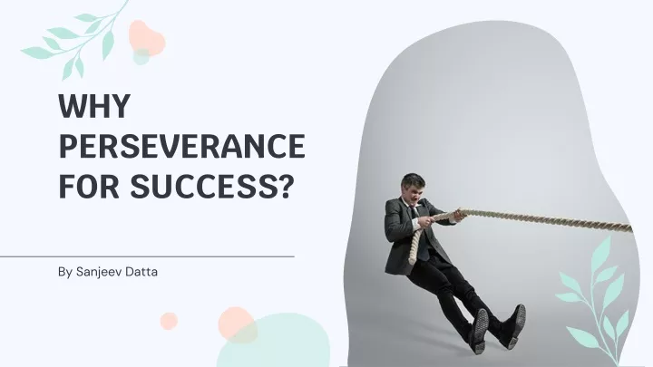 why perseverance for success