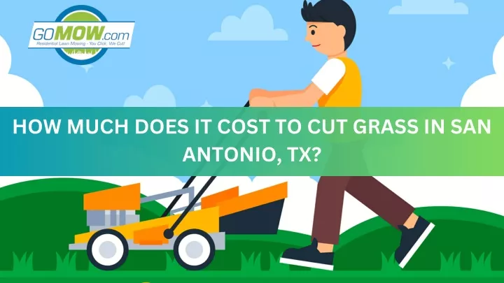 how much does it cost to cut grass in san antonio