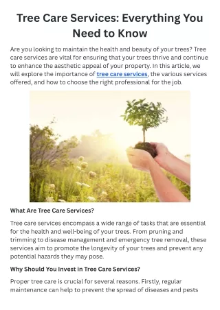 Tree Care Services Everything You Need to Know