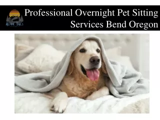 Professional Overnight Pet Sitting Services Bend Oregon