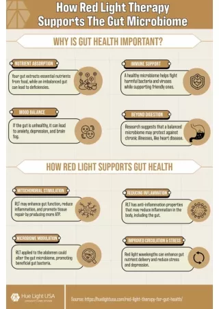 Red Light Therapy For Gut Health Infographic.jpeg