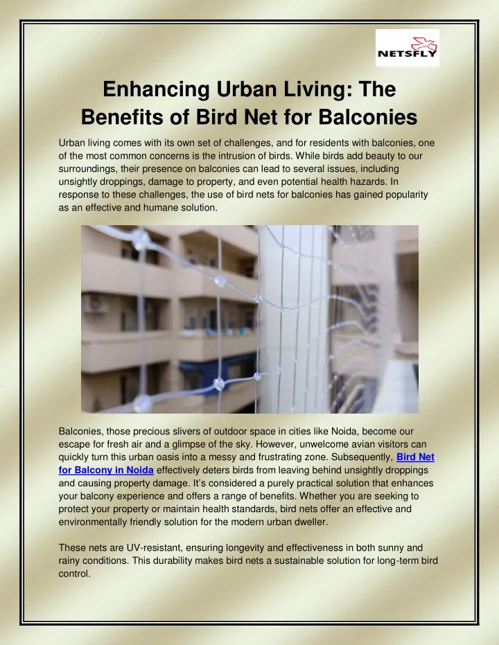 enhancing urban living the benefits of bird