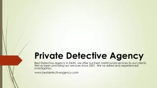 Private Detective Agency