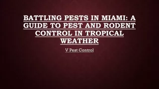 Battling Pests in Miami A Guide to Pest and Rodent Control in Tropical Weather