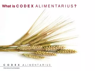 what is c o d e x a l i m e n t a r i u s