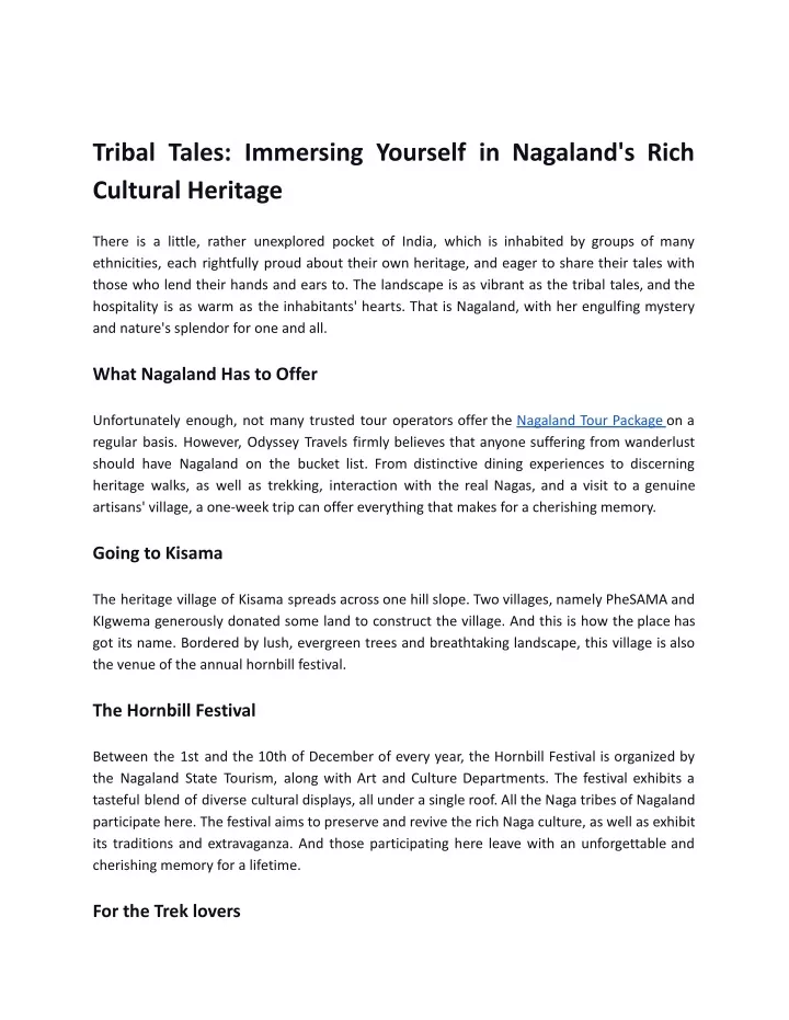tribal tales immersing yourself in nagaland