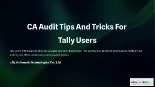 CA Audit Tips and Tricks For Tally Users