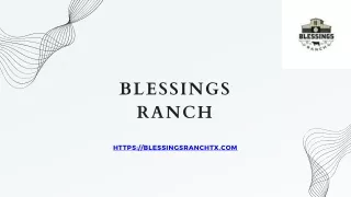 Blessings Ranch - A Cow Farm in  Houston