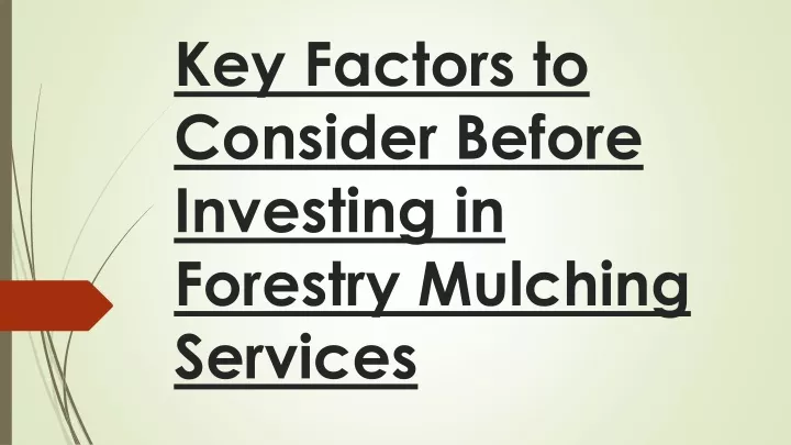 key factors to consider before investing in forestry mulching services