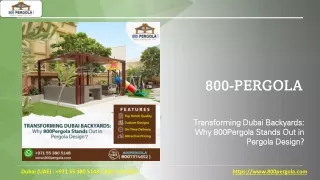 Transforming Dubai Backyards - Why 800Pergola Stands Out in Pergola Design