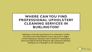 Where Can You Find Professional Upholstery Cleaning Services