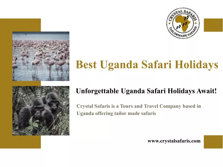 best uganda safari holidays